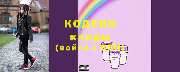 хмурый Арсеньев