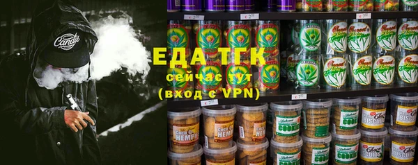 хмурый Арсеньев