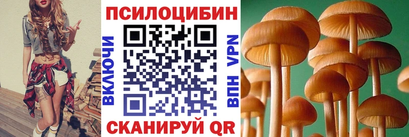 Псилоцибиновые грибы GOLDEN TEACHER блэк спрут Абаза