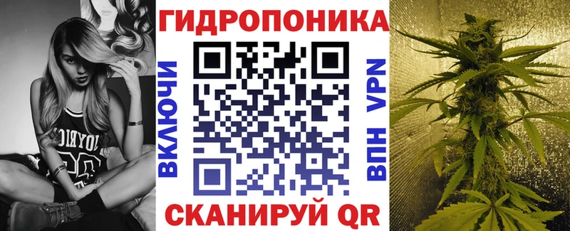 Каннабис SATIVA & INDICA  Абаза 